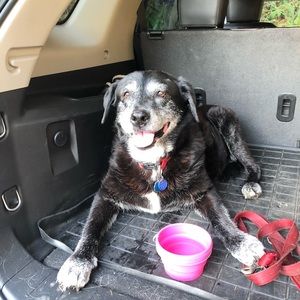 Meet your Posher, Jane